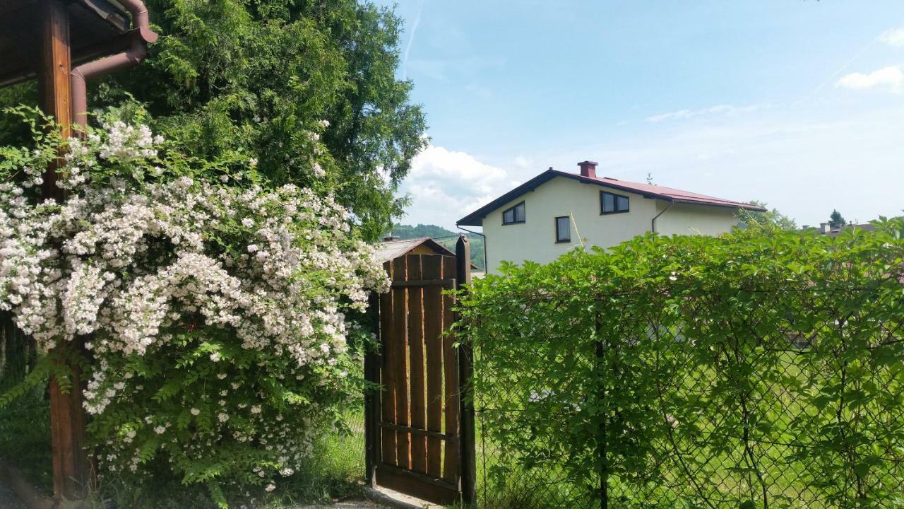 Swinna - Brzozowy Zagajnik エクステリア 写真