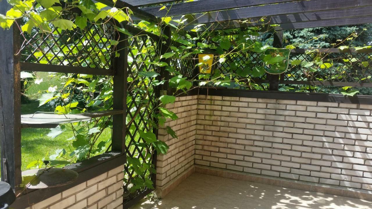 Swinna - Brzozowy Zagajnik エクステリア 写真